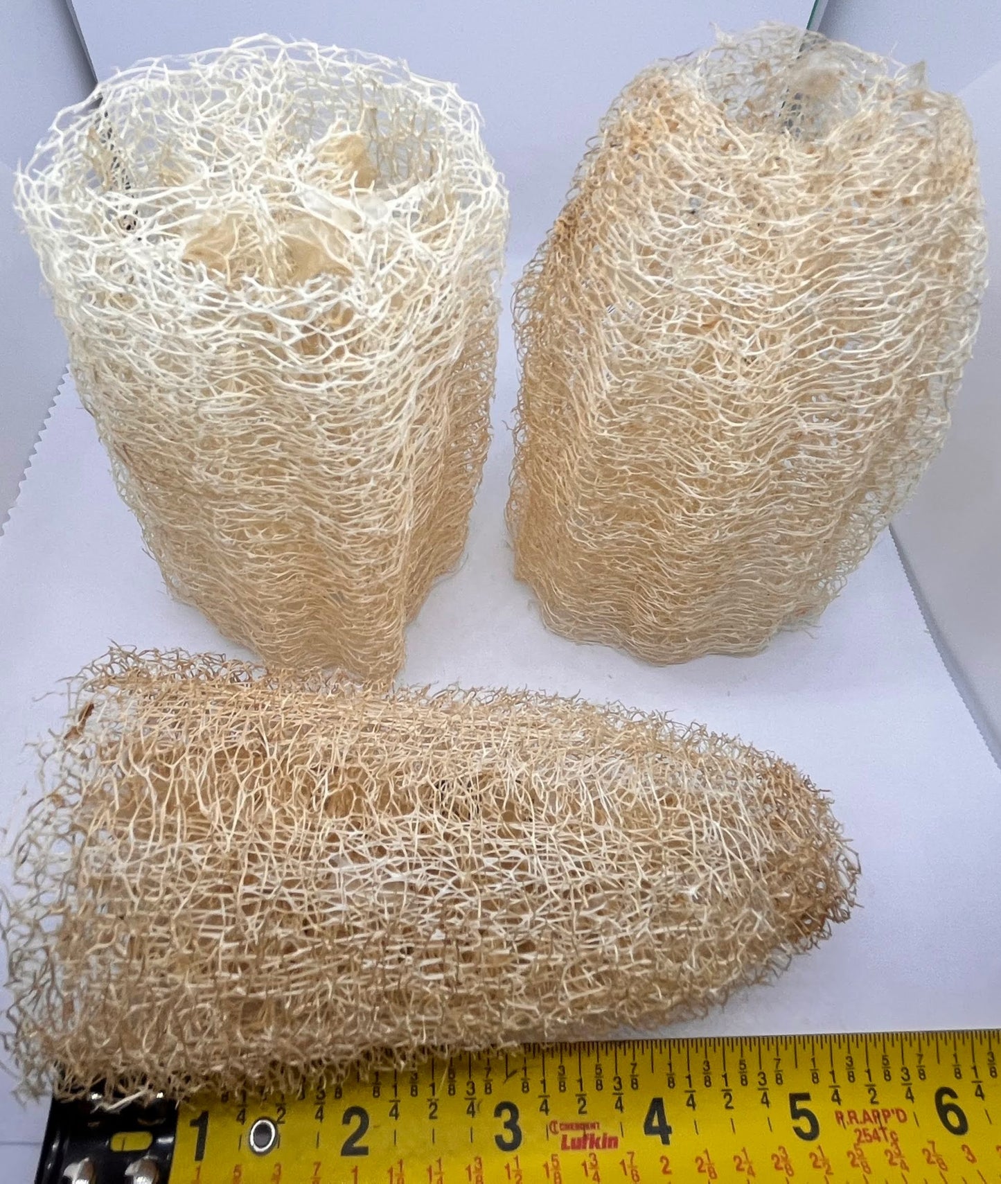 3 Pack 5 inch Loofah