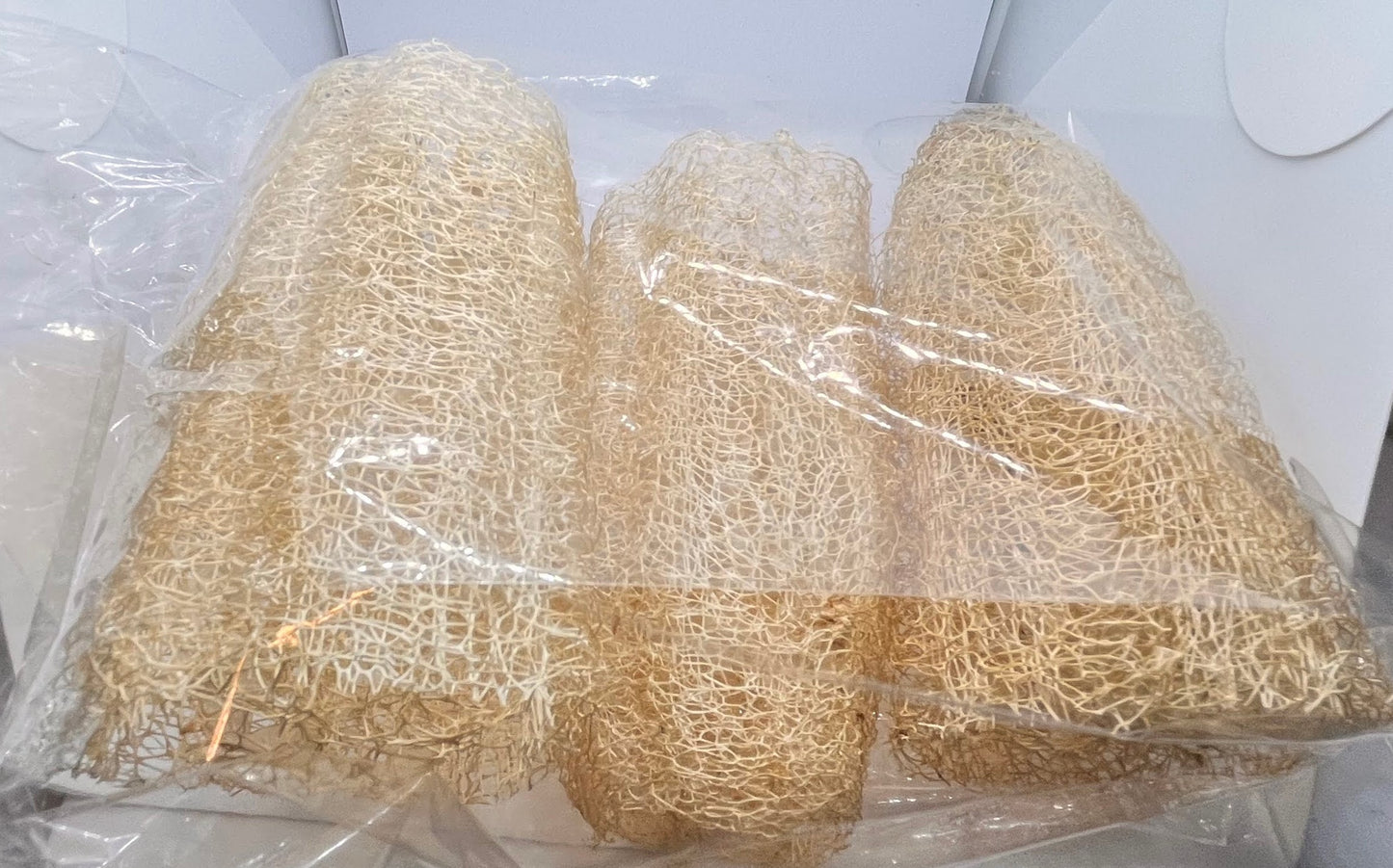 3 Pack 5 inch Loofah