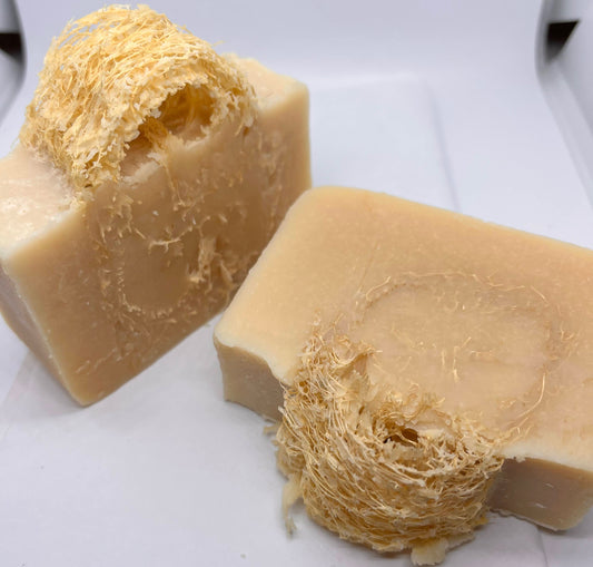 Honey Almond Goat Milk Soap Loofah Bar